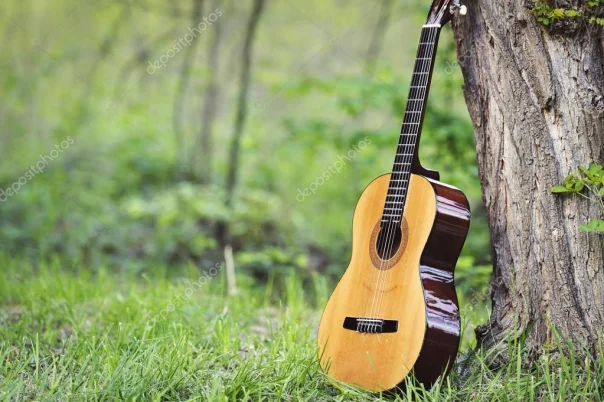 Guitarras flamenca  de segunda mano - Guitarra clases Mendoza profesor: 6 puntos claves para los que ya tocan